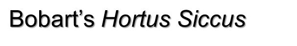 banner.jpg