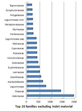 Top 20 families collected