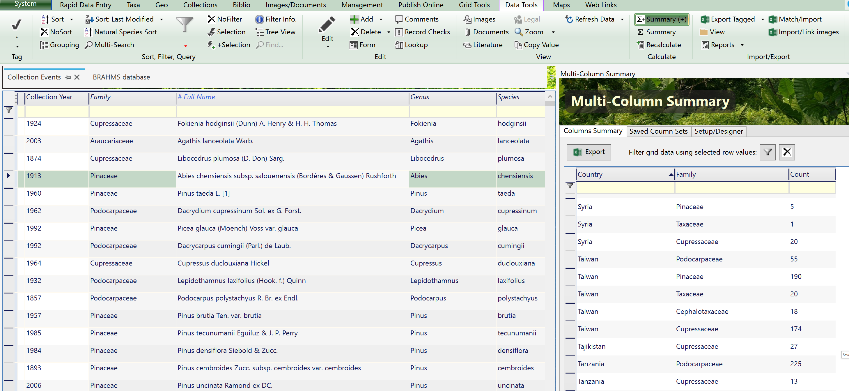 MultiColumnSummary.png