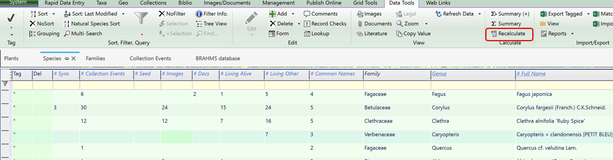 calculatedfields.png