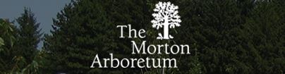 mortonsnap.jpg