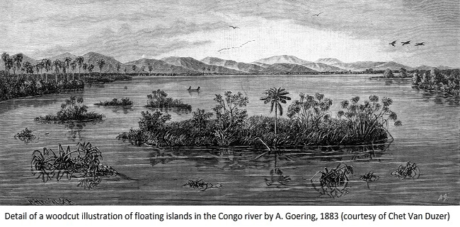 FLOATING_ISLAND.JPG