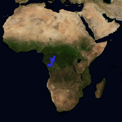Congo (Brazzaville)