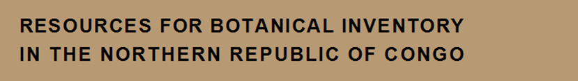 banner.jpg