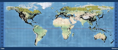 GLOBALMAP.JPG