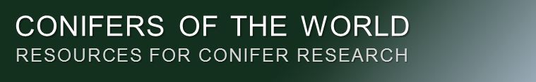 banner.jpg