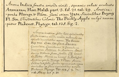 bolduboissample.jpg