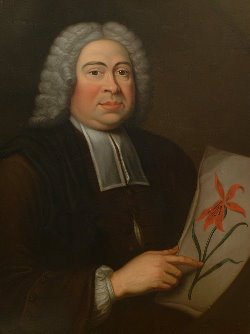 Johann Dillenius (1684-1747)