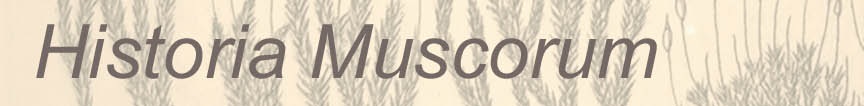 banner.jpg