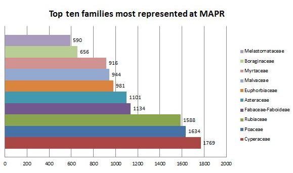 Top ten families represented in herbarium at MAPR