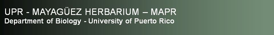 banner.jpg