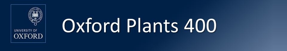 banner.jpg