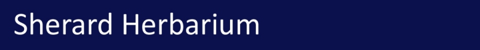 banner.jpg