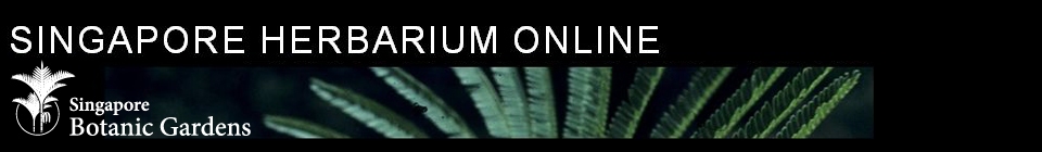 banner.jpg
